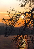 /album/fenykepgaleria/fenylo-oleles-jpg/